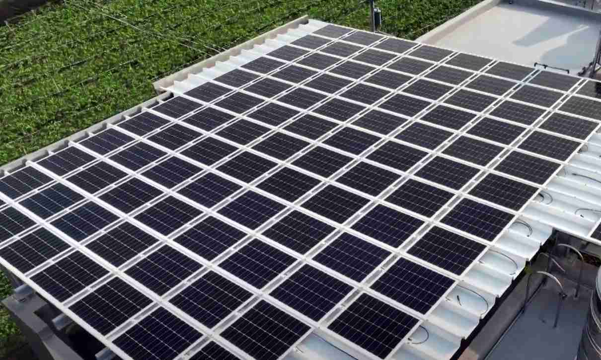 人生就是博SunSteel光电浪板升级双玻结构，，，以提升机械负载强度及气候耐候度，，可广泛运用于多元场域