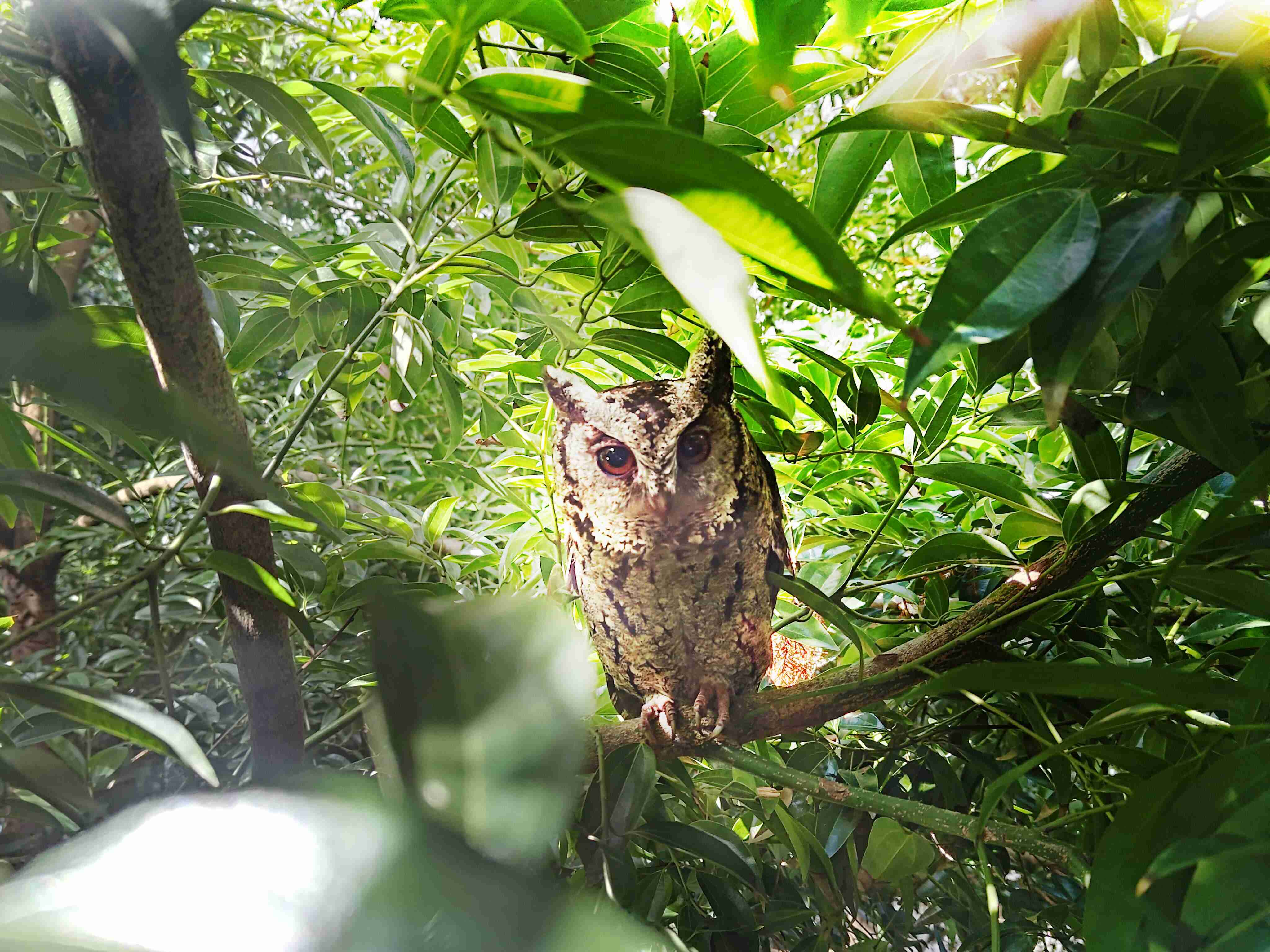 人生就是博致力提倡净零绿生活，，，16年以来在全球各厂区植树逾百万棵，，，，造就各厂区树木蔚然成林，，，，犹如森林工厂，，，，成为许多生物的栖息地